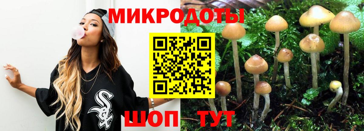 Галлюциногенные грибы Cubensis Долгопрудный