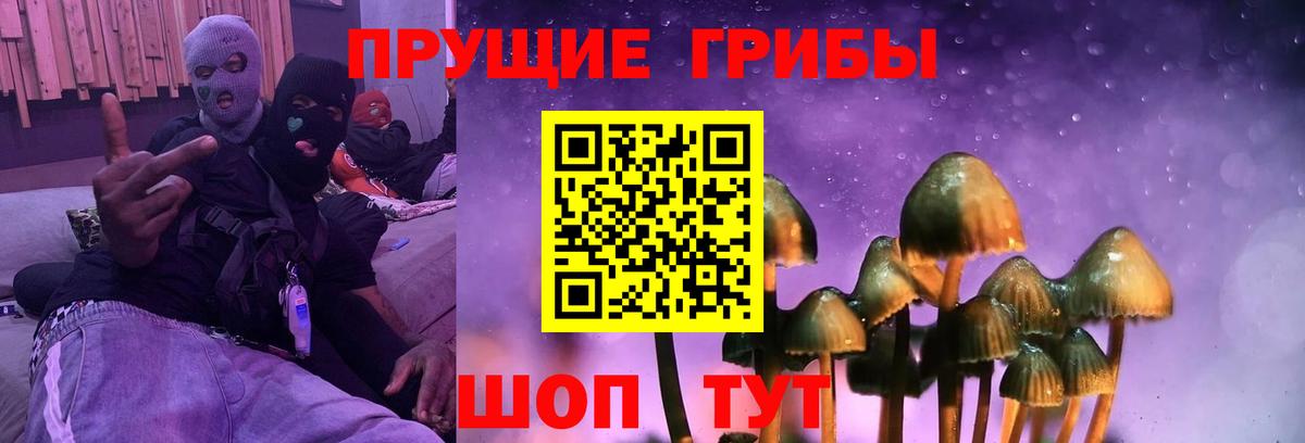 Псилоцибиновые грибы Psilocybine cubensis  Вход с VPN  Долгопрудный 